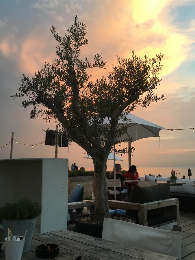 Studio Casa Martine Noordwijk Εξωτερικό φωτογραφία